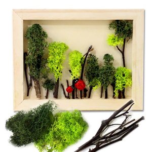 스칸디아모스 나무액자만들기(초록세트)